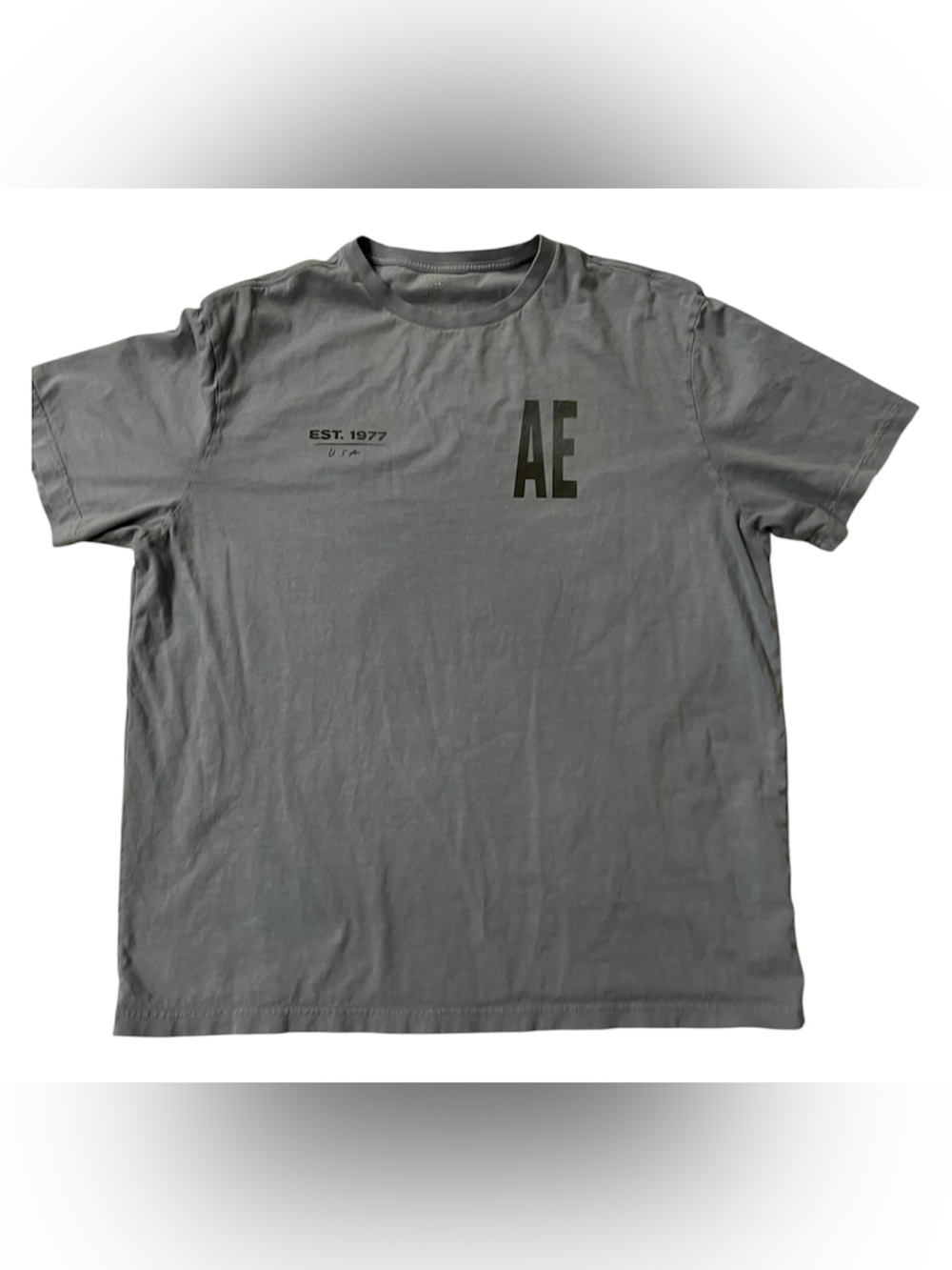 American Eagle Outfitters Men’s Short-Sleeve Tee in Dusty Blue with Black Logo